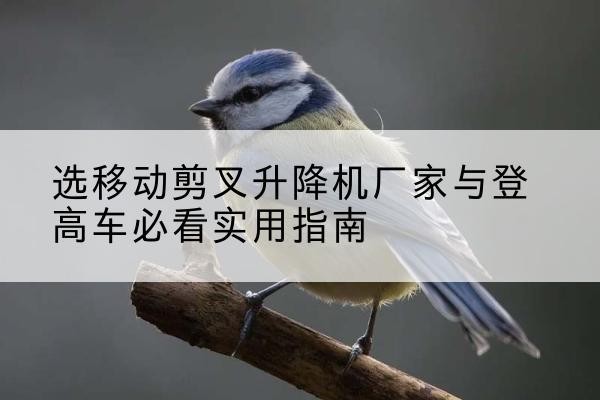 聊城电动升降机厂家-选移动剪叉升降机厂家与登高车必看实用指南