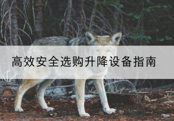 聊城升降货梯厂家推荐-*安全选购升降设备指南